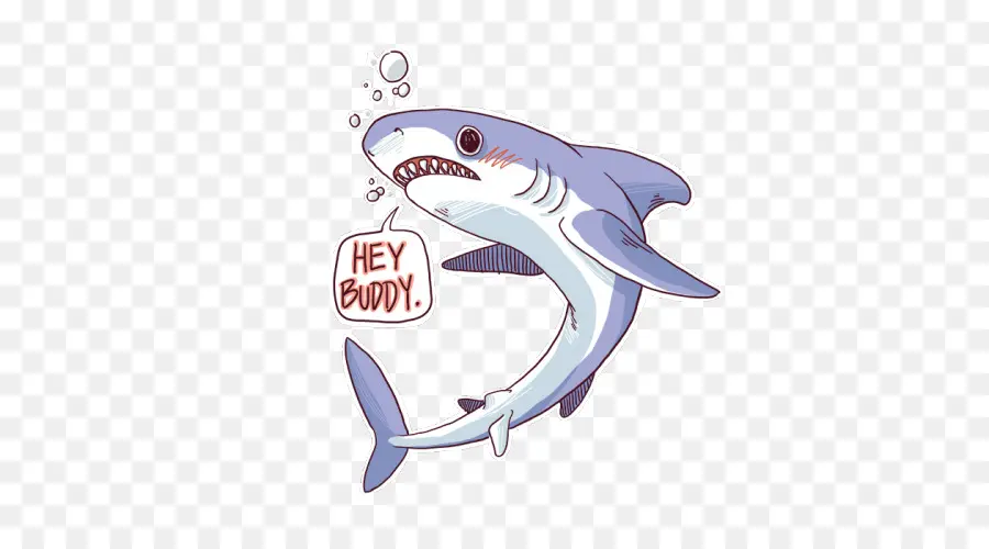 Requin De Dessin Animé，Poisson PNG