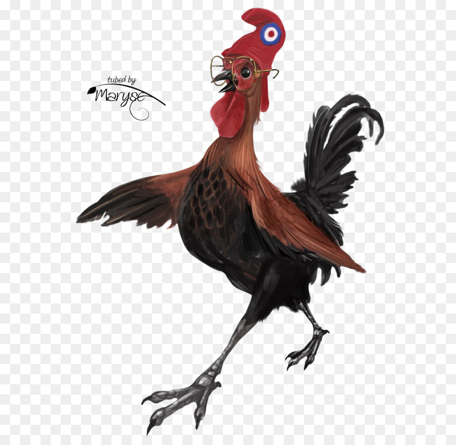 Poulet，Coq PNG