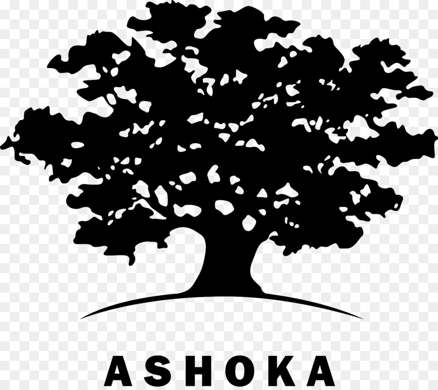 Ashoka Innovateurs Pour Le Public，Ashoka PNG