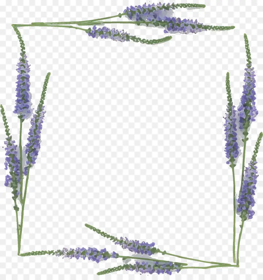 Cadre Lavande，Fleurs PNG