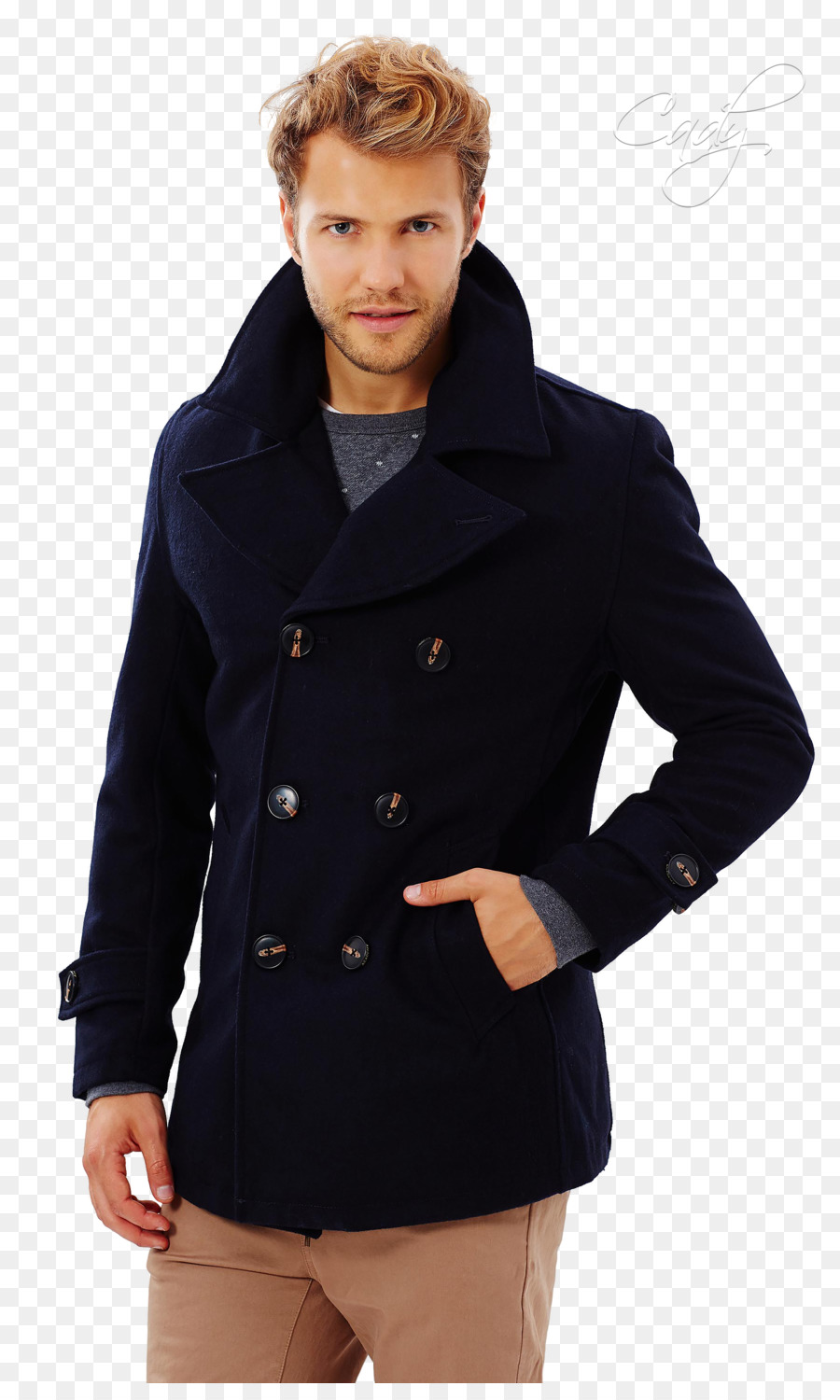 Manteau De Pois，Manteau PNG