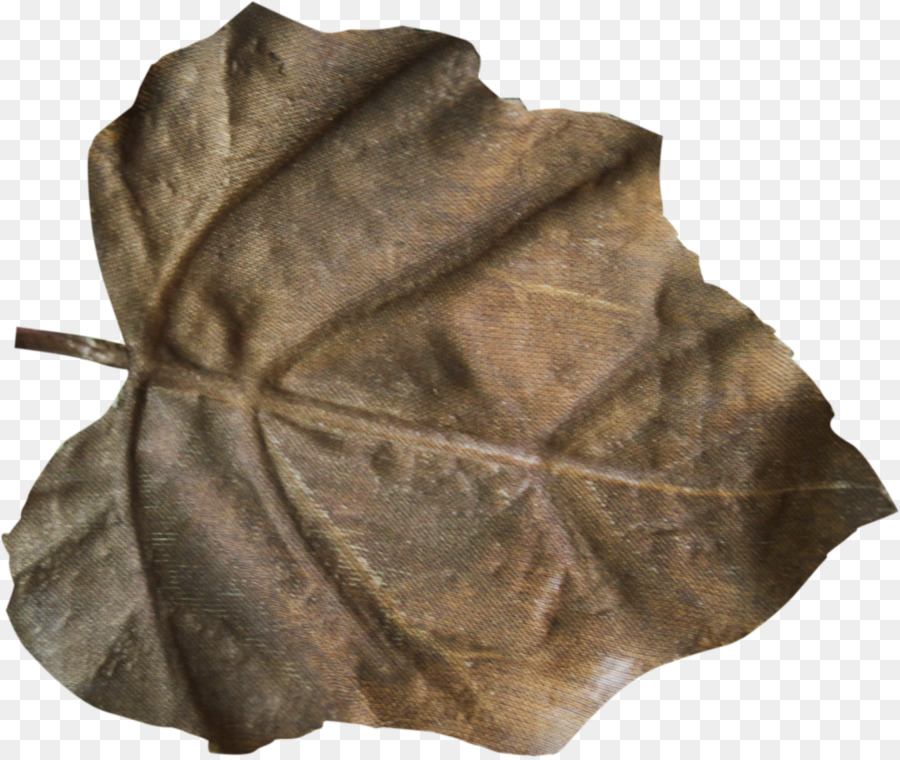 Feuille，Automne PNG