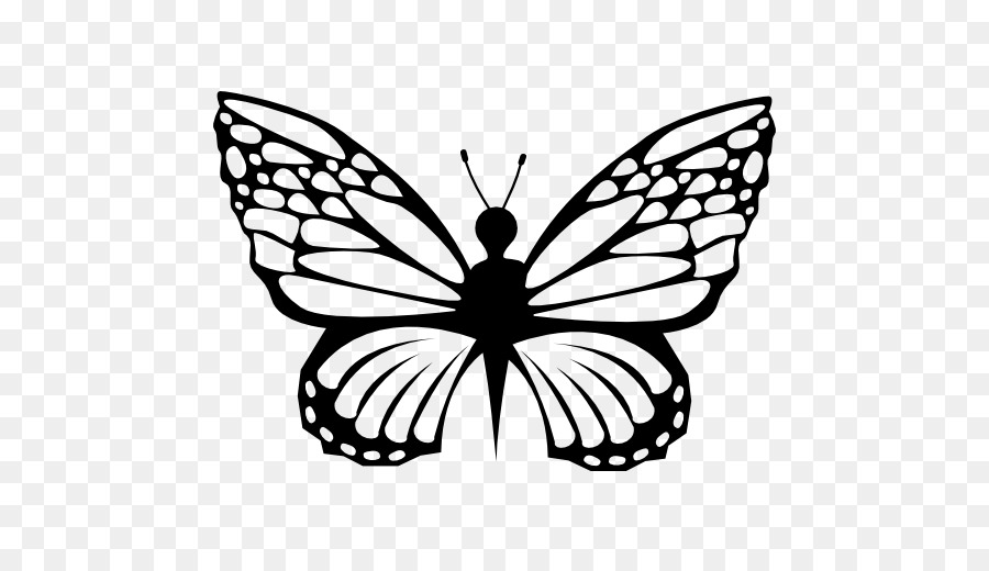 Papillon Noir，Insecte PNG