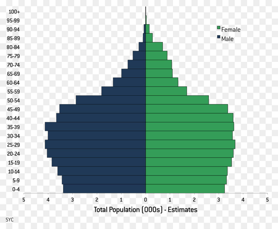 Pyramide Des âges，Données Démographiques PNG