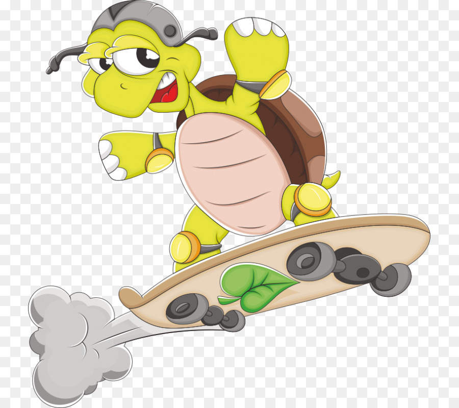 Tortue De Skateboard，Casque PNG