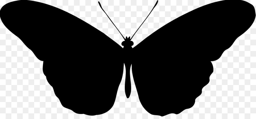 Silhouettes De Papillons，Insectes PNG