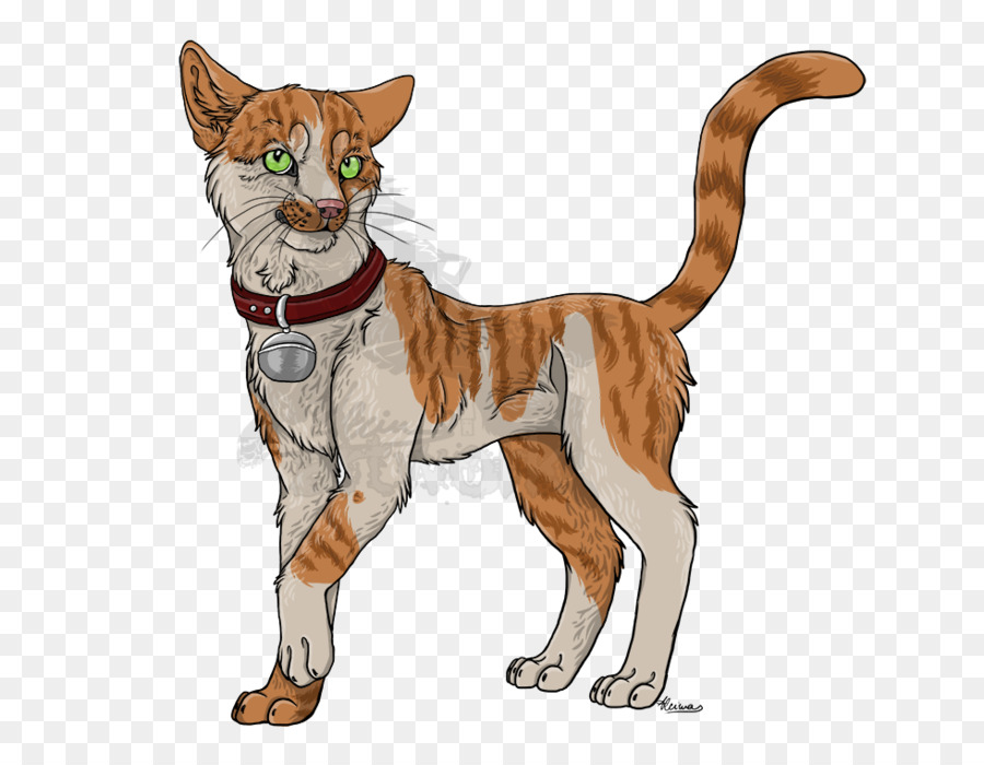 Chat，Animal De Compagnie PNG