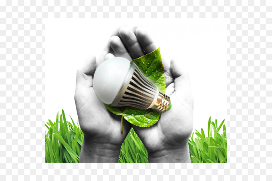 Environnement Naturel，Feuille PNG