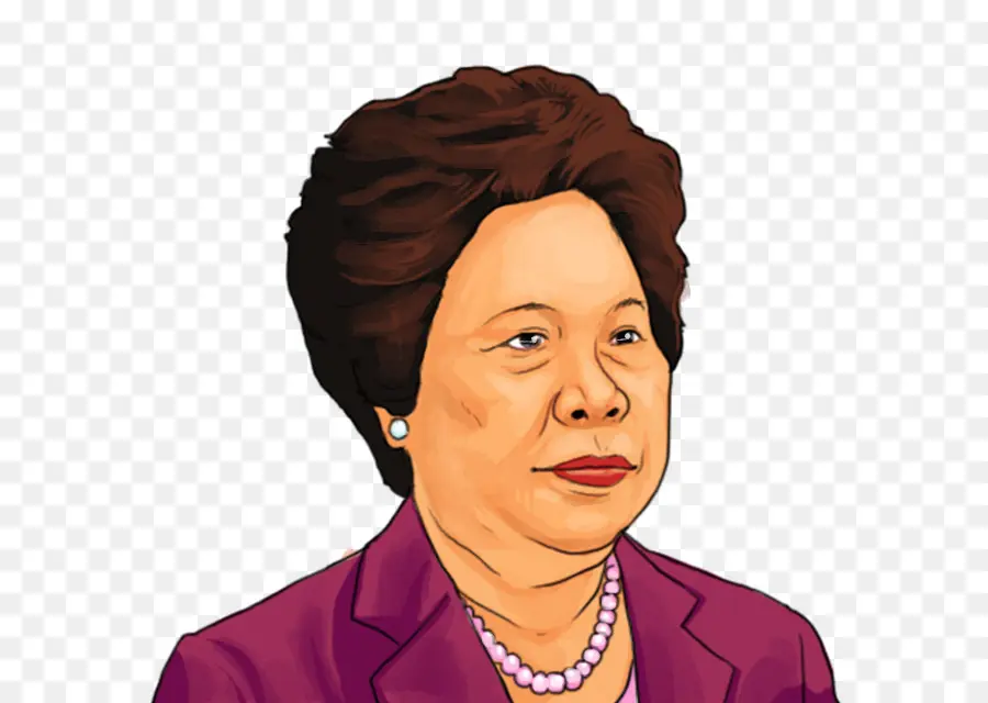 Miriam Défenseur Santiago，Dessin PNG