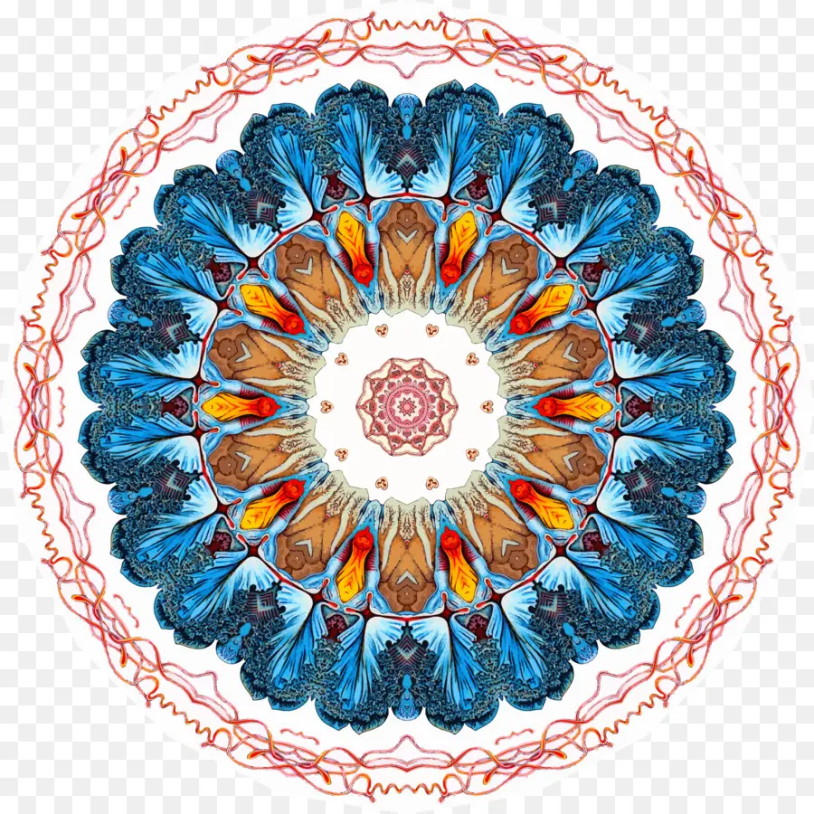 Mandalas，Modèle PNG