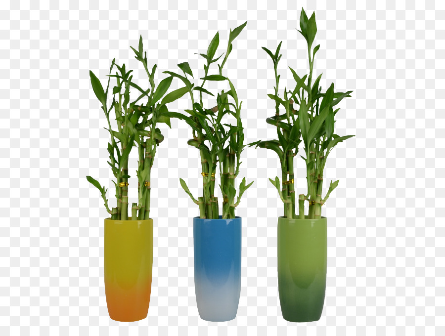 Bambou Porte Bonheur，Vase PNG