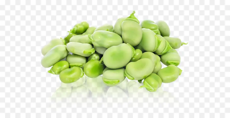 Haricots Verts，Haricots PNG