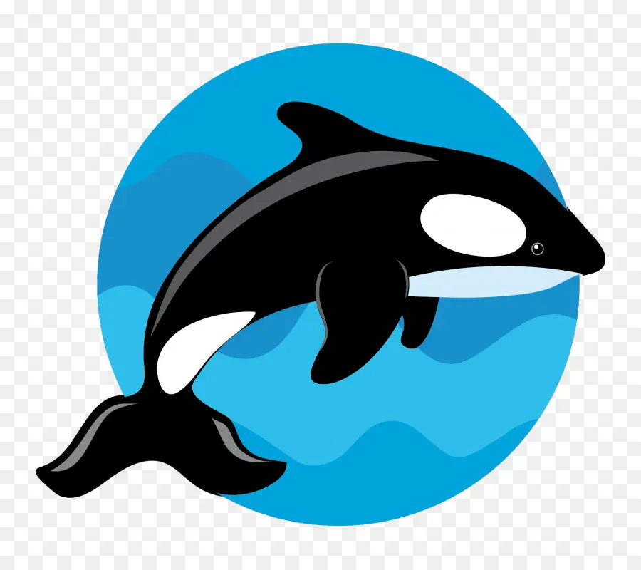 Orque，Baleine PNG