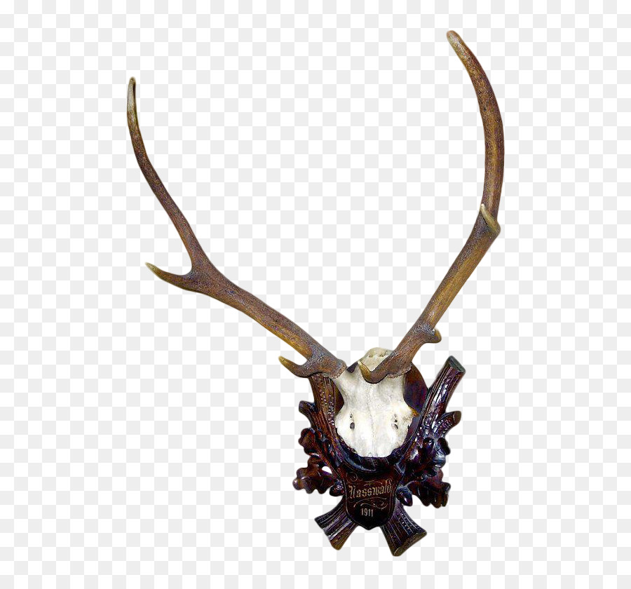 Cerf，L Andouiller PNG