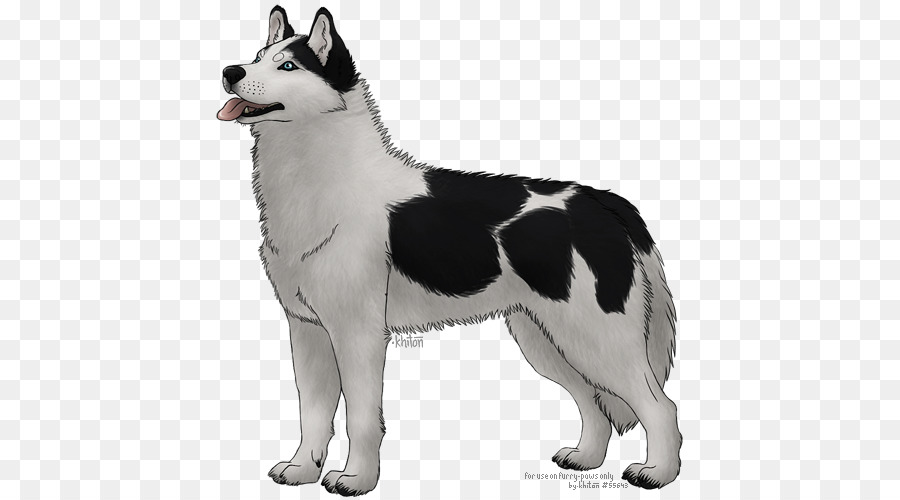 Miniature Husky Sibérien，Sakhaline Husky PNG