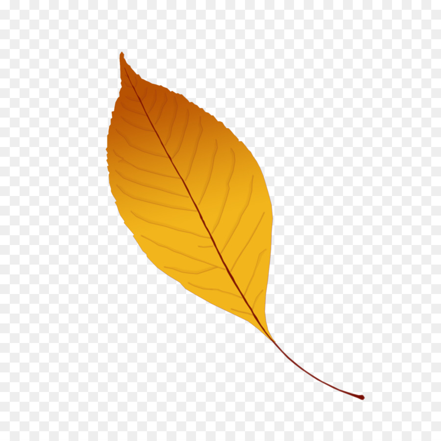 Feuille Jaune，Bifurquer PNG