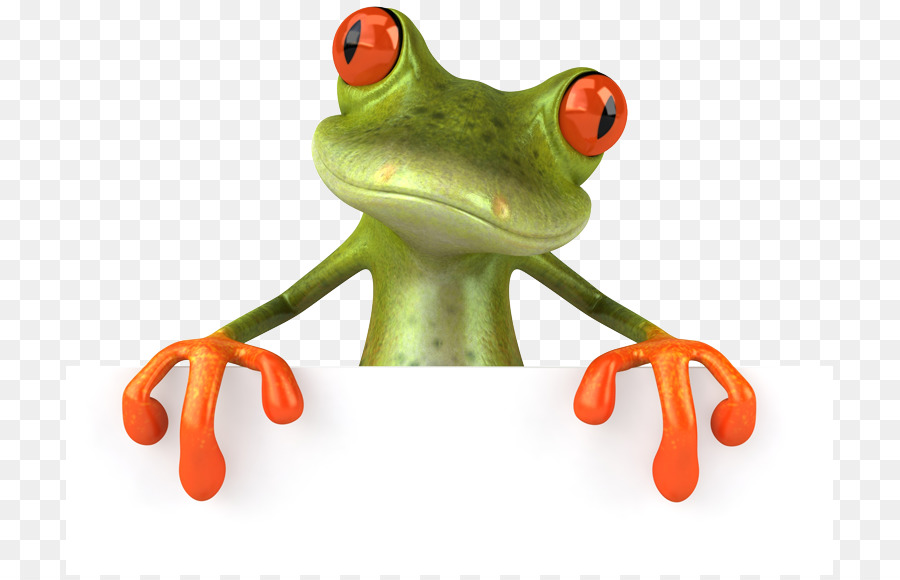 Grenouille De Dessin Animé，Amphibie PNG