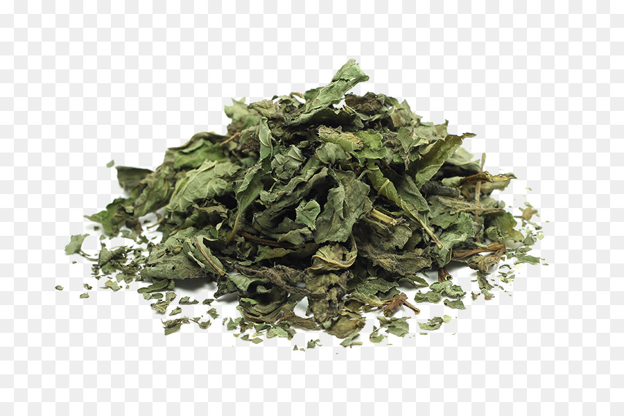 Herbes，Séché PNG