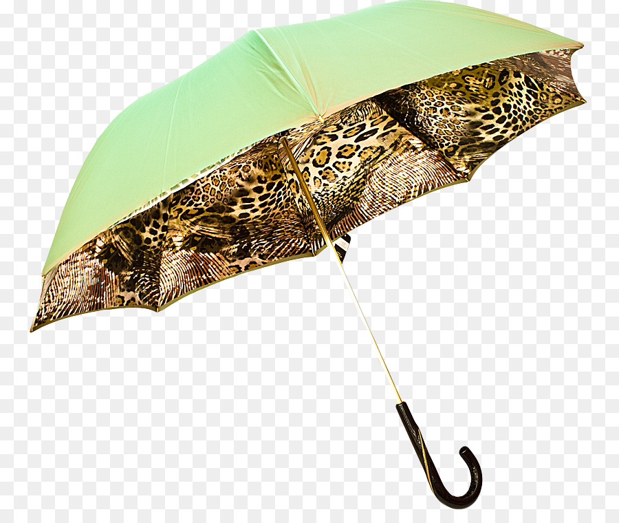 Parapluie， PNG