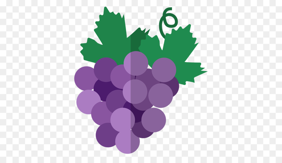 Raisins，Vigne PNG