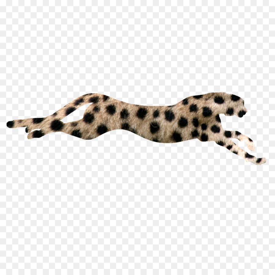 Le Guépard，Flash PNG