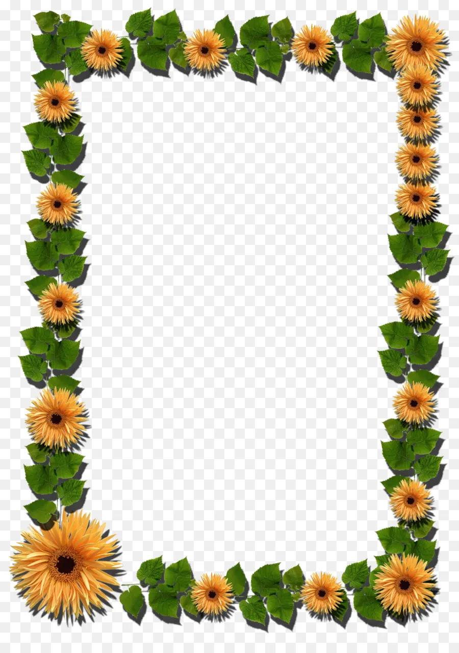 Cadre De Fleurs，Feuilles PNG