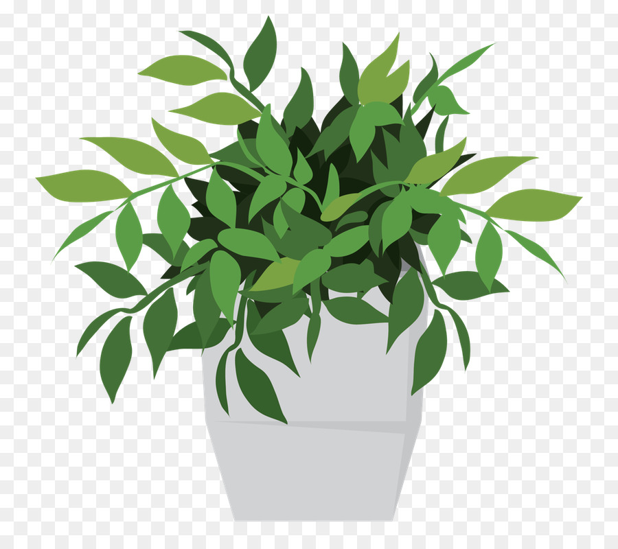 Pot De Fleur，Plante D'appartement PNG