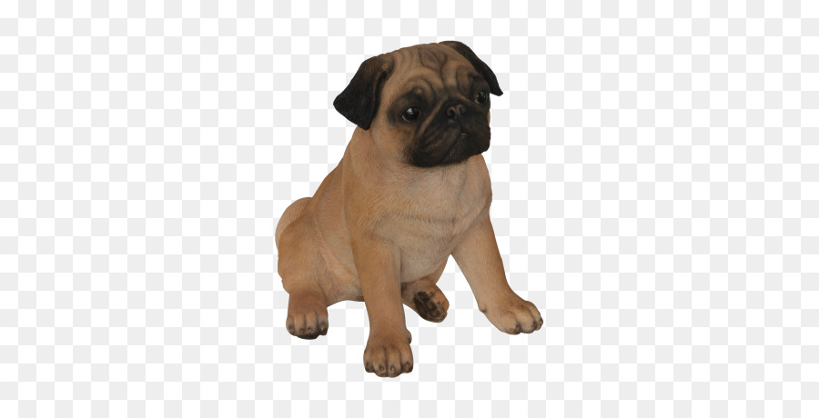 Bouledogue，Chien PNG