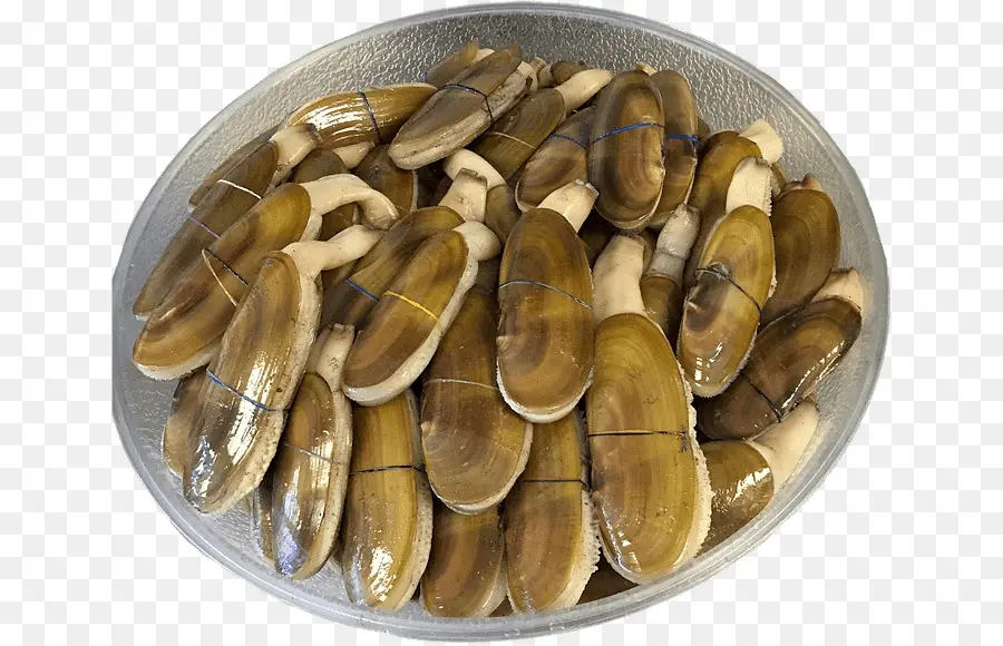 Couteaux，Fruit De Mer PNG