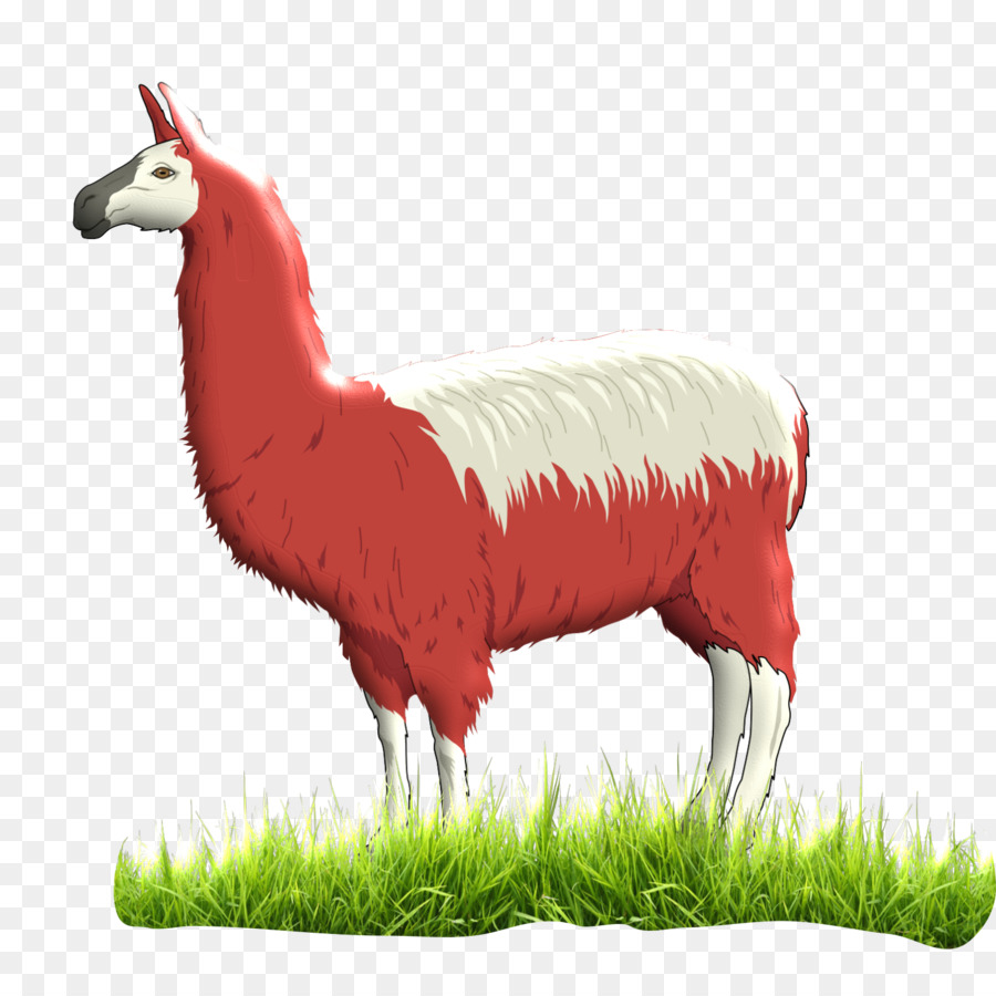 Lama，Fourrure PNG