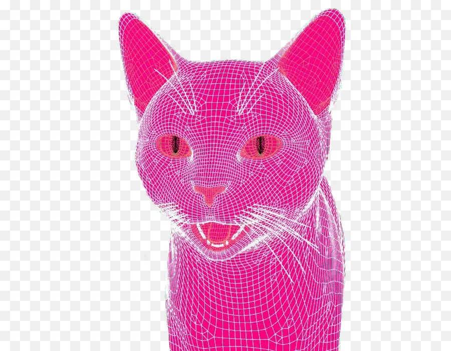 Chat，Félin PNG