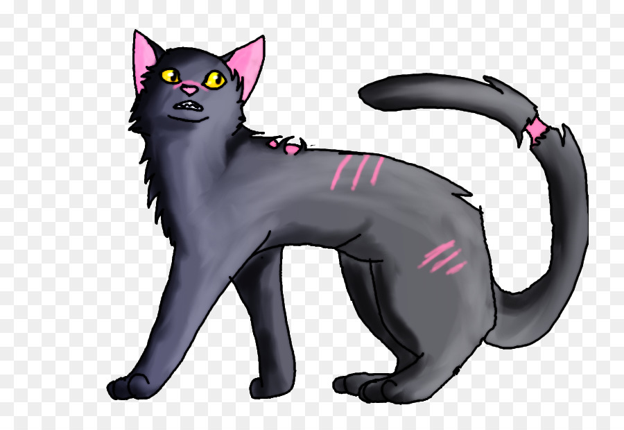 Chat Gris，Animal De Compagnie PNG