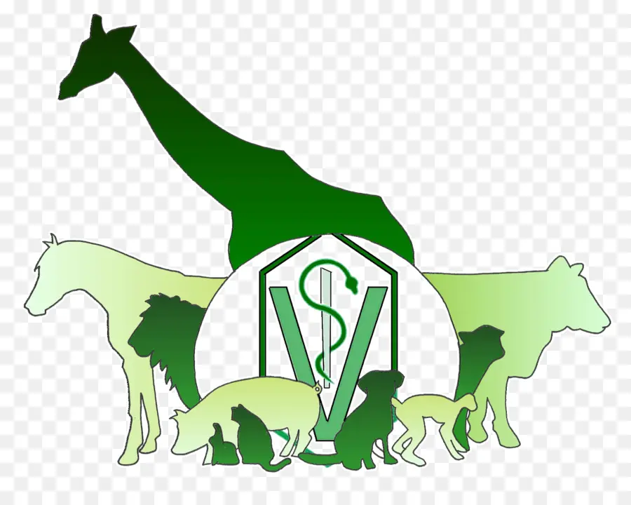 Logo Vétérinaire，Animaux PNG