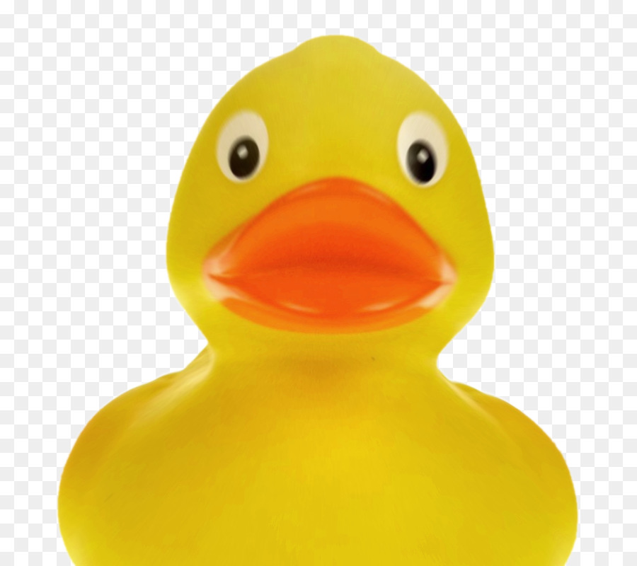 Canard En Caoutchouc Rose，Canard PNG