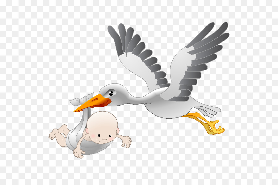 Bebe Cigogne Douche De Bebe Png Bebe Cigogne Douche De Bebe Transparentes Png Gratuit