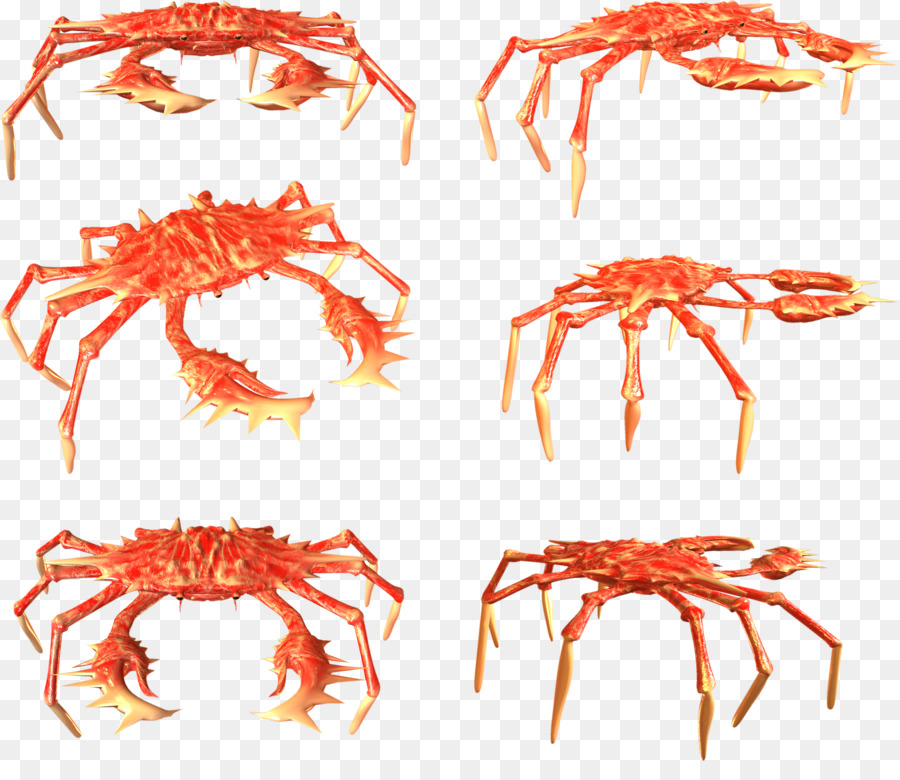 Crabe，écrevisses PNG
