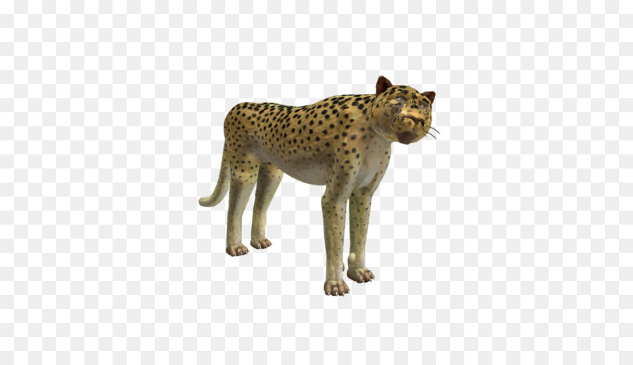 Guépard，Taches PNG