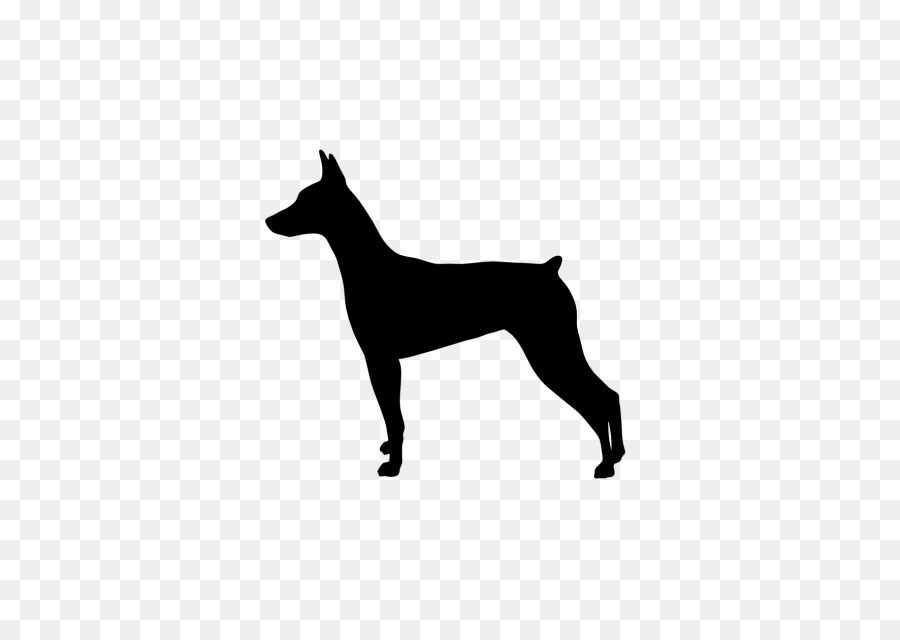 Chien，Animal De Compagnie PNG