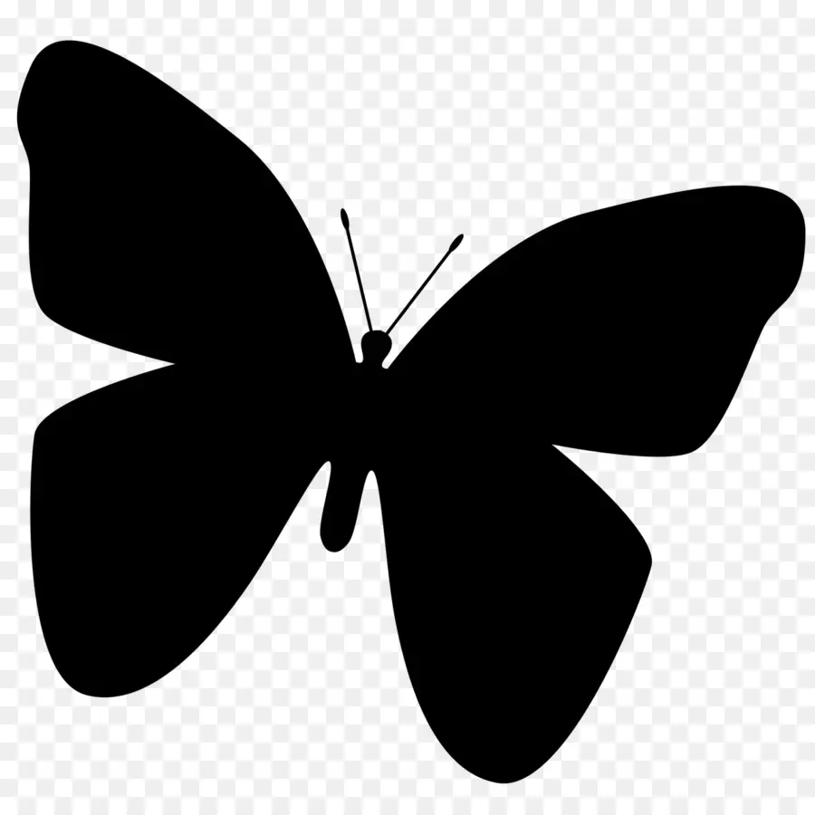 Papillon，Ailes PNG