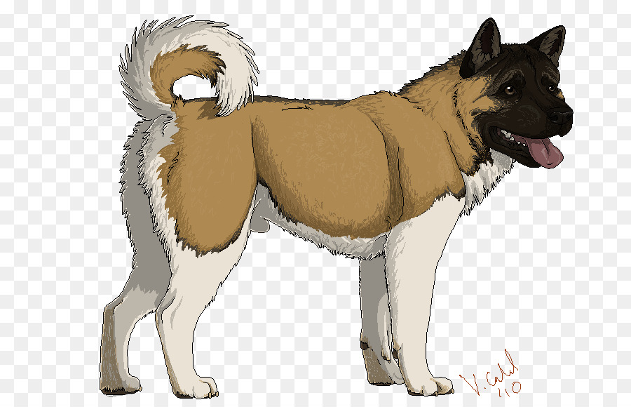 Chien，Animal De Compagnie PNG