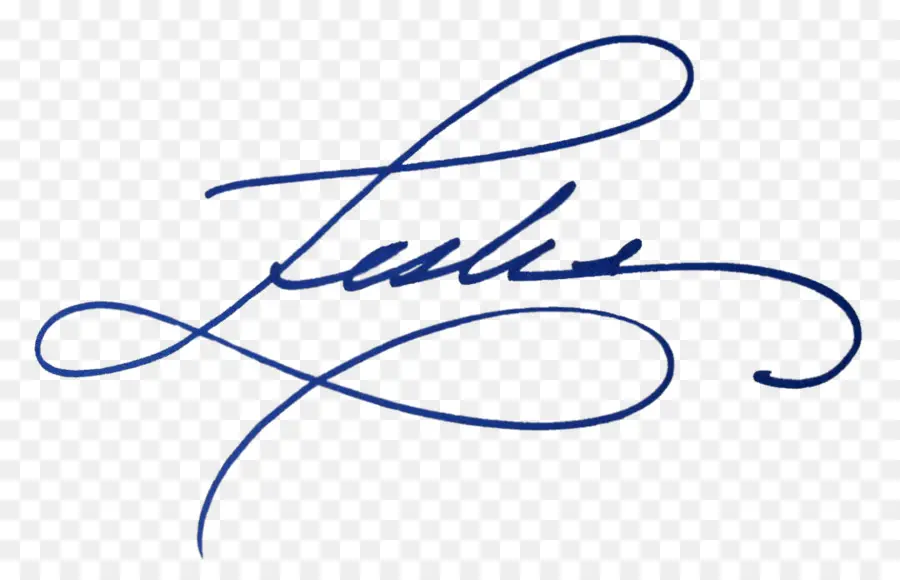 Signature，Bloc De Signature PNG