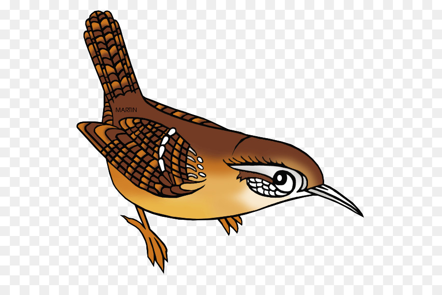 Wren，La Caroline Du Sud PNG