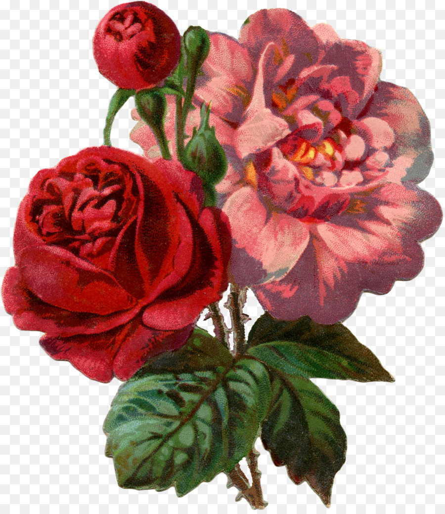 Bouquet De Fleurs，Roses PNG