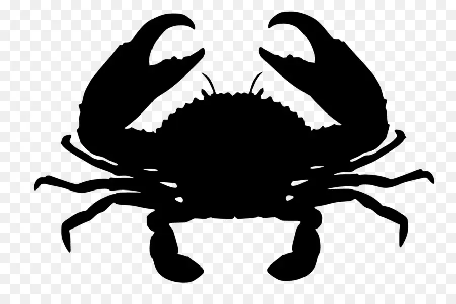 Crabe，Le Géant De Crabe De Boue PNG