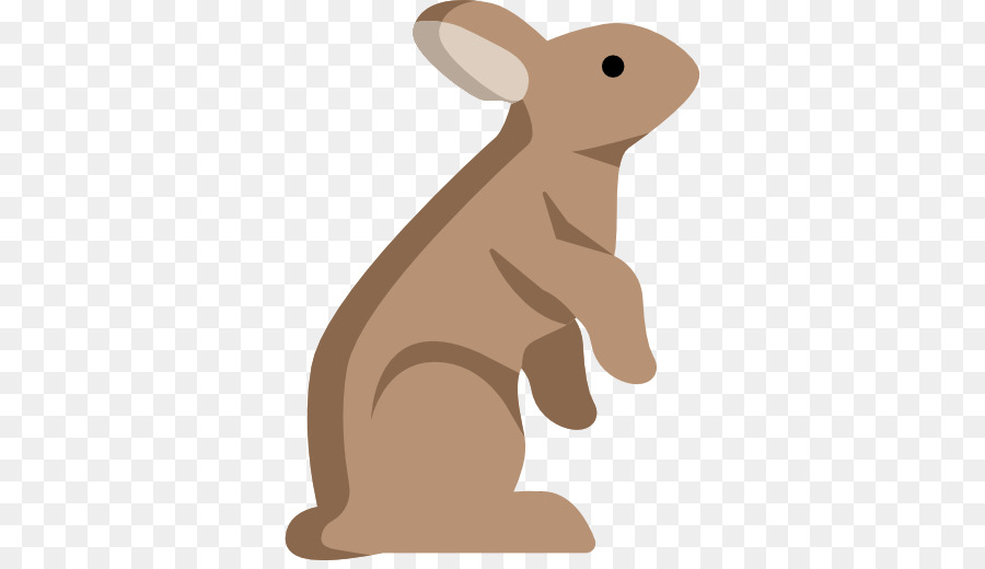 Un Lapin Domestique，Lapin PNG