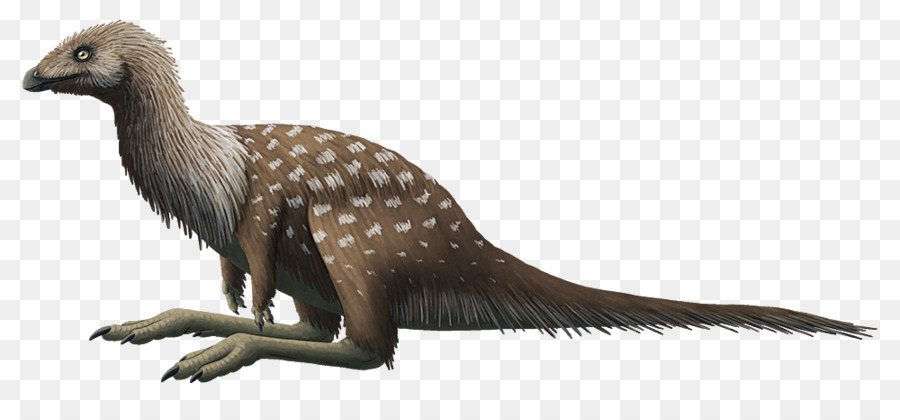 Ornithomimosauria，Limusaurus PNG
