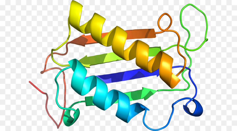 Ligne，Point PNG