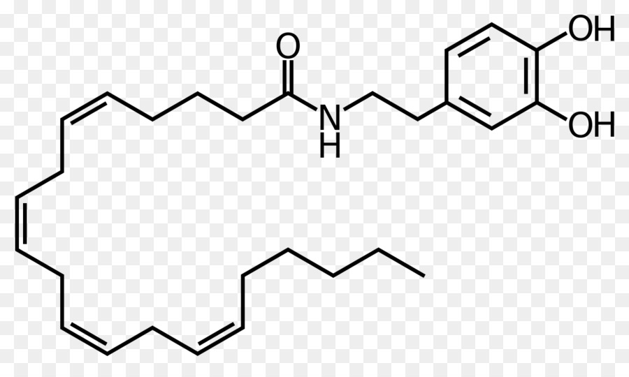 L Adrénaline，Neurotransmetteur PNG