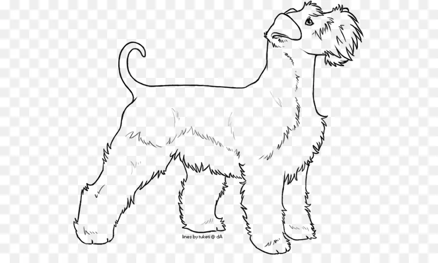 Chien，Animal De Compagnie PNG