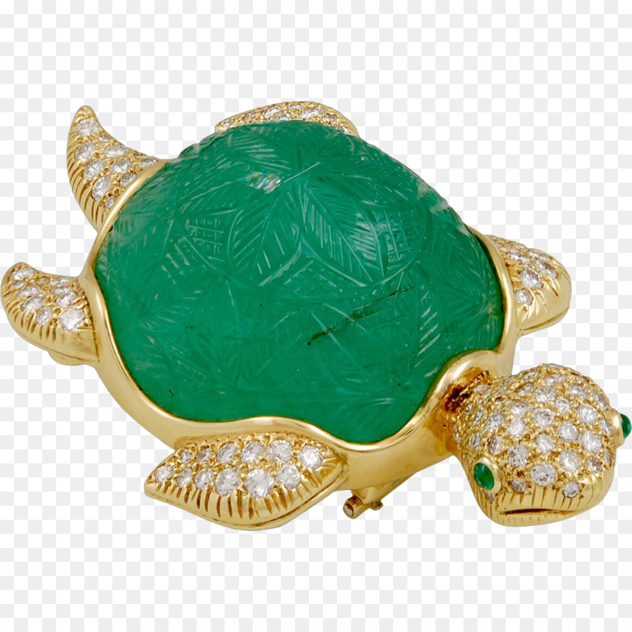 Broche Tortue Verte，Or PNG